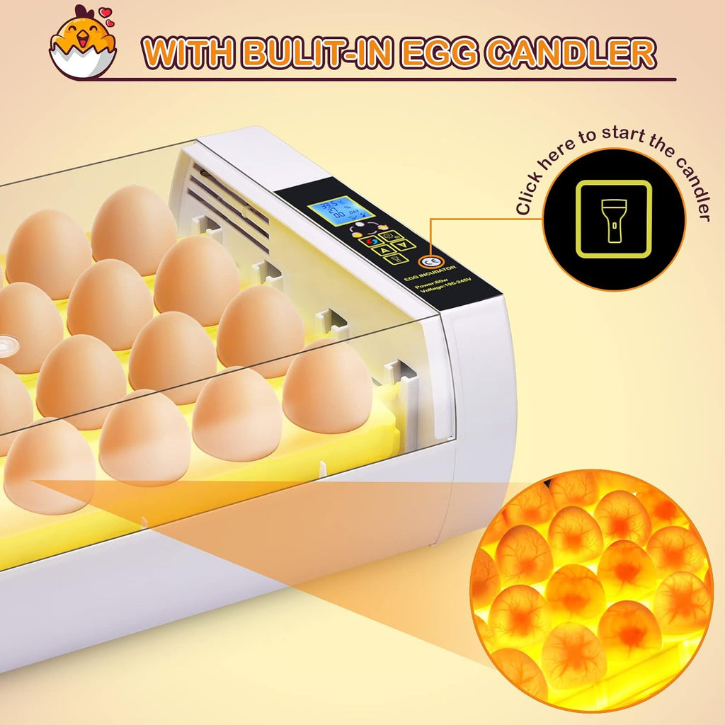 24 Eggs Incubator with Automatic Turning Temperature and Humidity Control Pack of 2 G147540