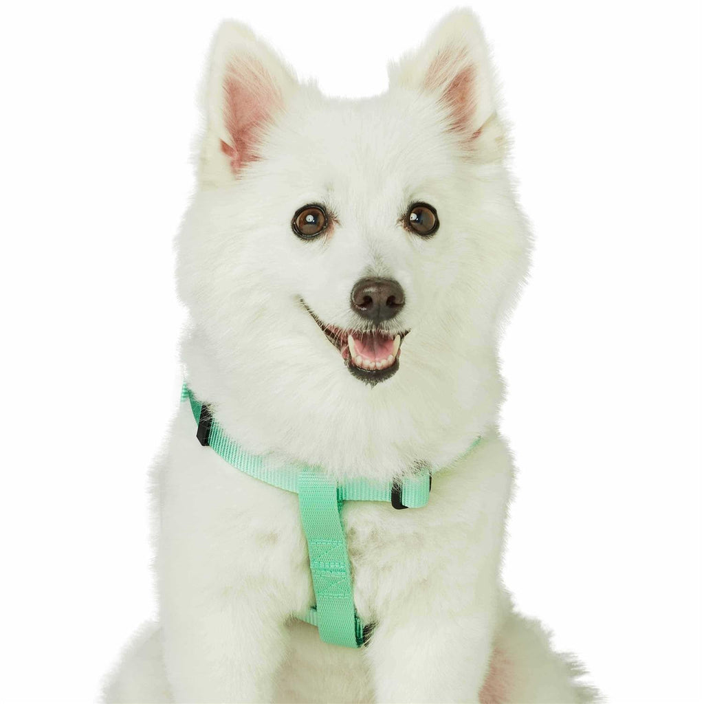 Solid Nylon Step-In Dog Harness E78092