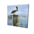 16 x 16 in. Pelican-Print on Canvas Y433179