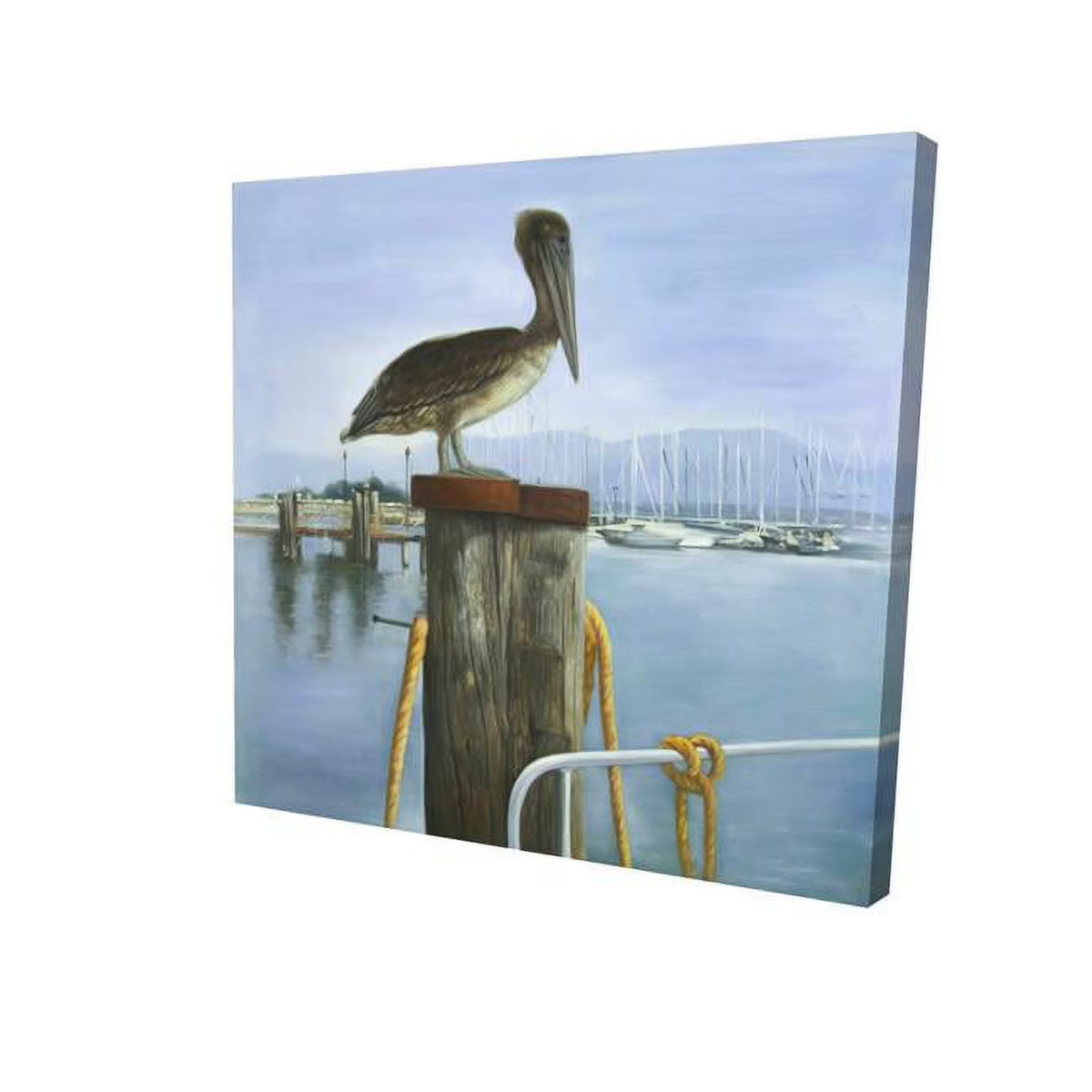 16 x 16 in. Pelican-Print on Canvas Y433179