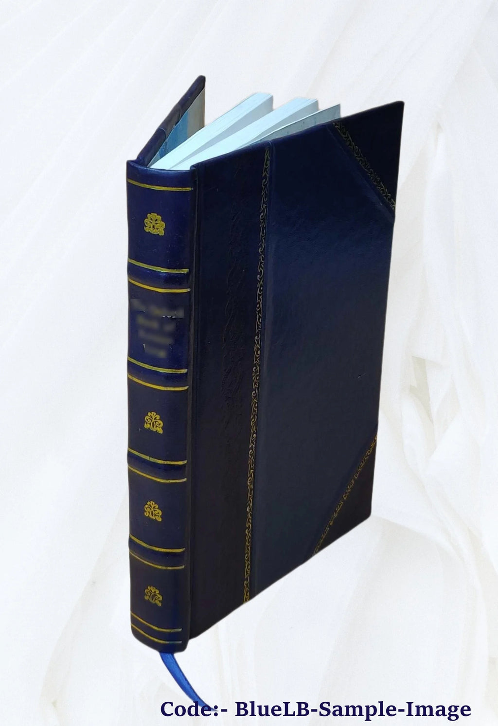 Leather Bound Book L922