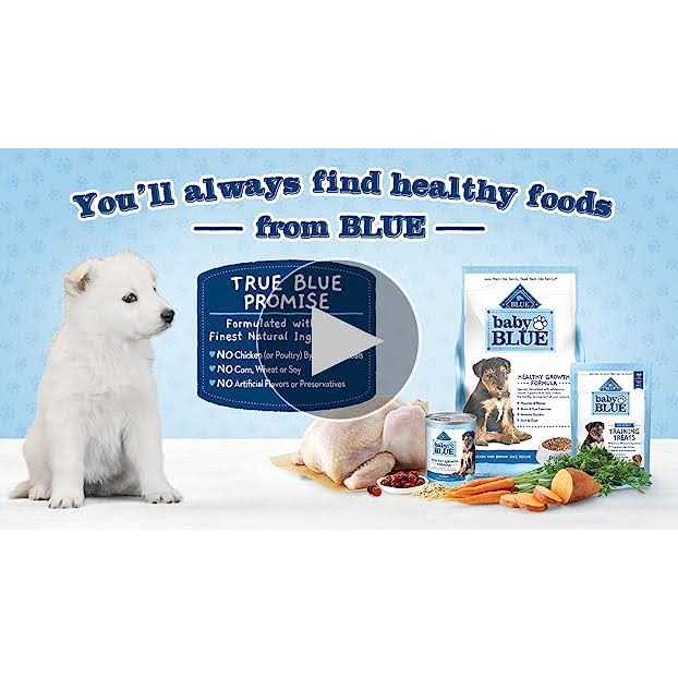 Chicken and Oatmeal Rice Recipe Small Breed Puppy Dry Dog Food 4-lb C900864