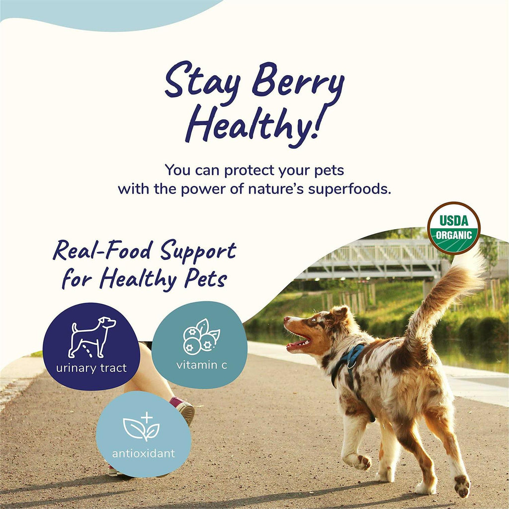 Healthy Immunity for Dogs and Cats G20213
