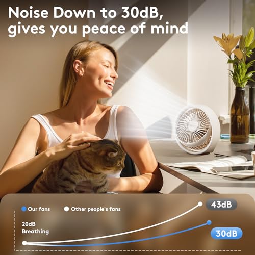 10 inch Portable Rechargeable Desk Fan C32800