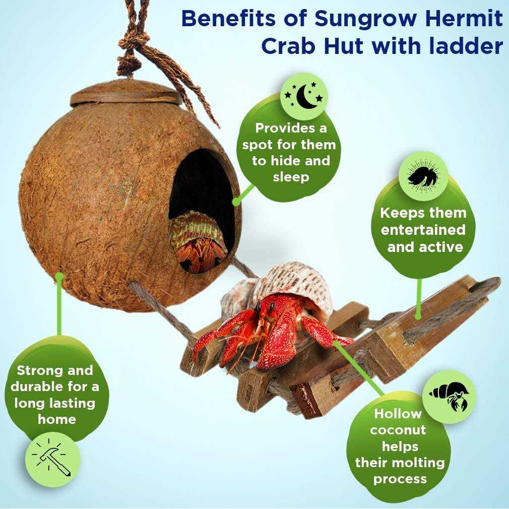 Hermit Crab Coco Hut with Ladder D661