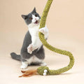 Cat Toy H982676
