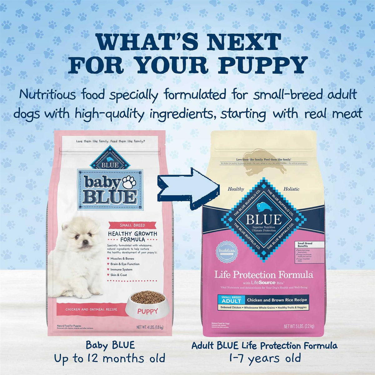 Chicken and Oatmeal Rice Recipe Small Breed Puppy Dry Dog Food 4-lb C900864