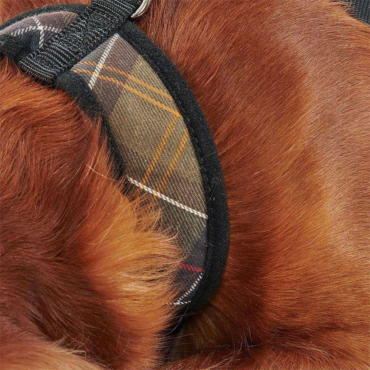 Tartan Dog Harness F708