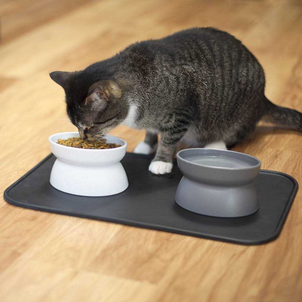Raised Cat Food Bowl and Waterer E444