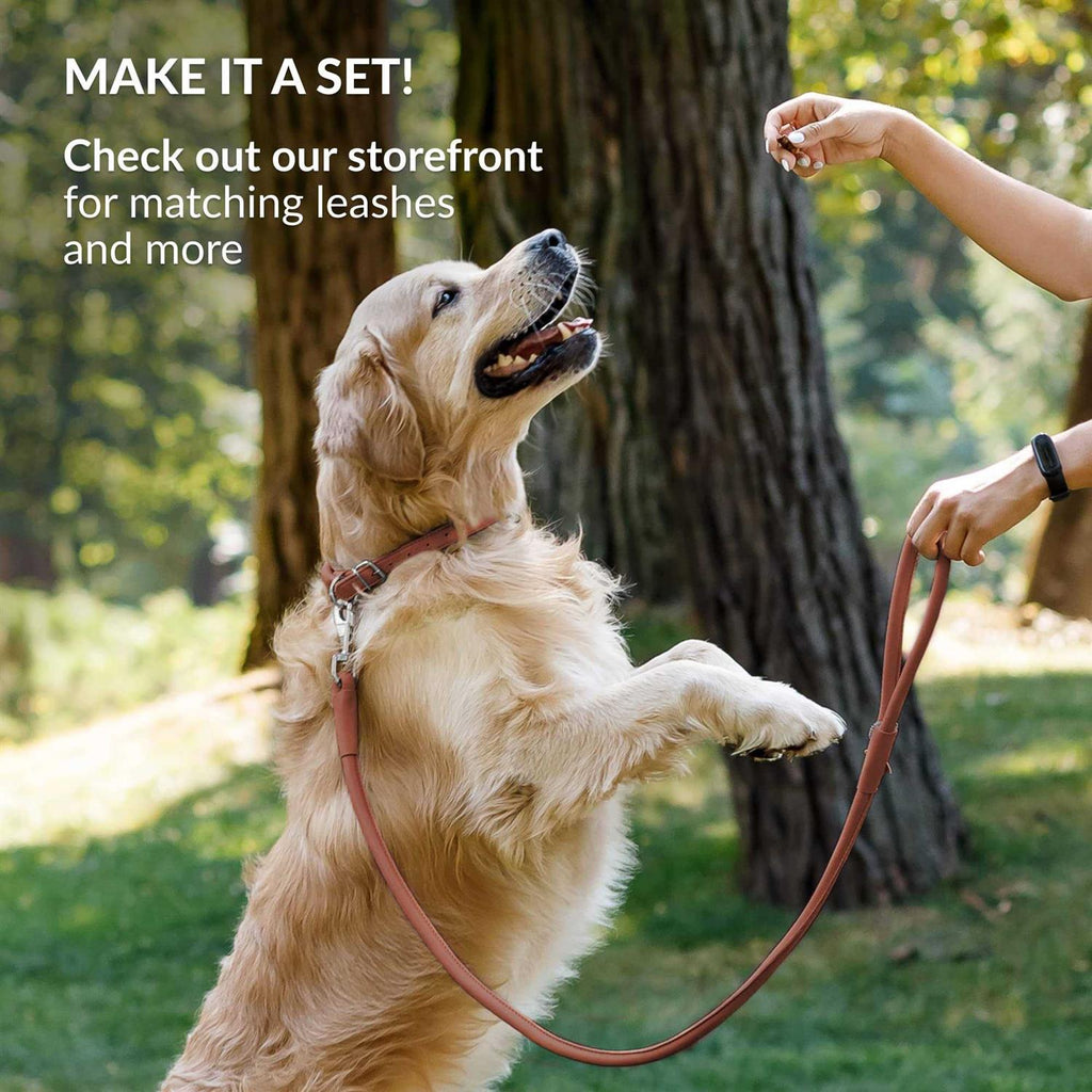 Rolled Leather Dog Collar L106