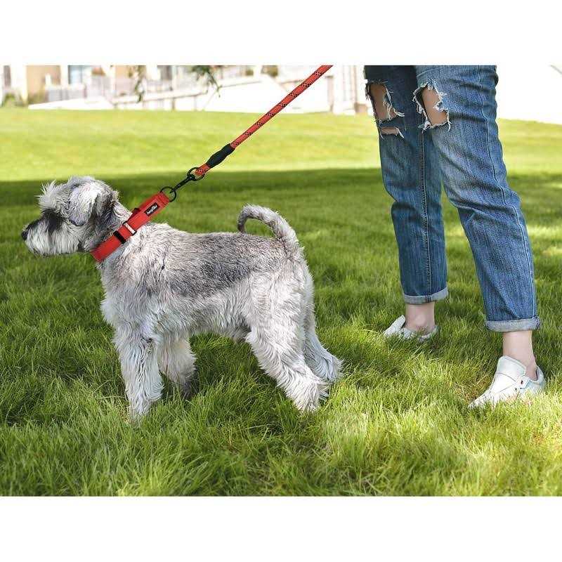 2 Packs Martingale Dog Collar with Quick Release Buckle Reflective H721008