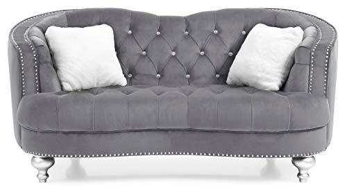 Gray Velvet Loveseat N9657