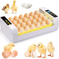 24 Eggs Incubator with Automatic Turning Temperature and Humidity Control Pack of 2 G147540