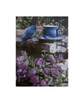 Canvas O50058