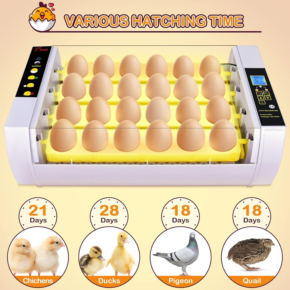 24 Eggs Incubator with Automatic Turning Temperature and Humidity Control Pack of 2 G147540