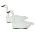 2 Pack Swan Decoys R70112