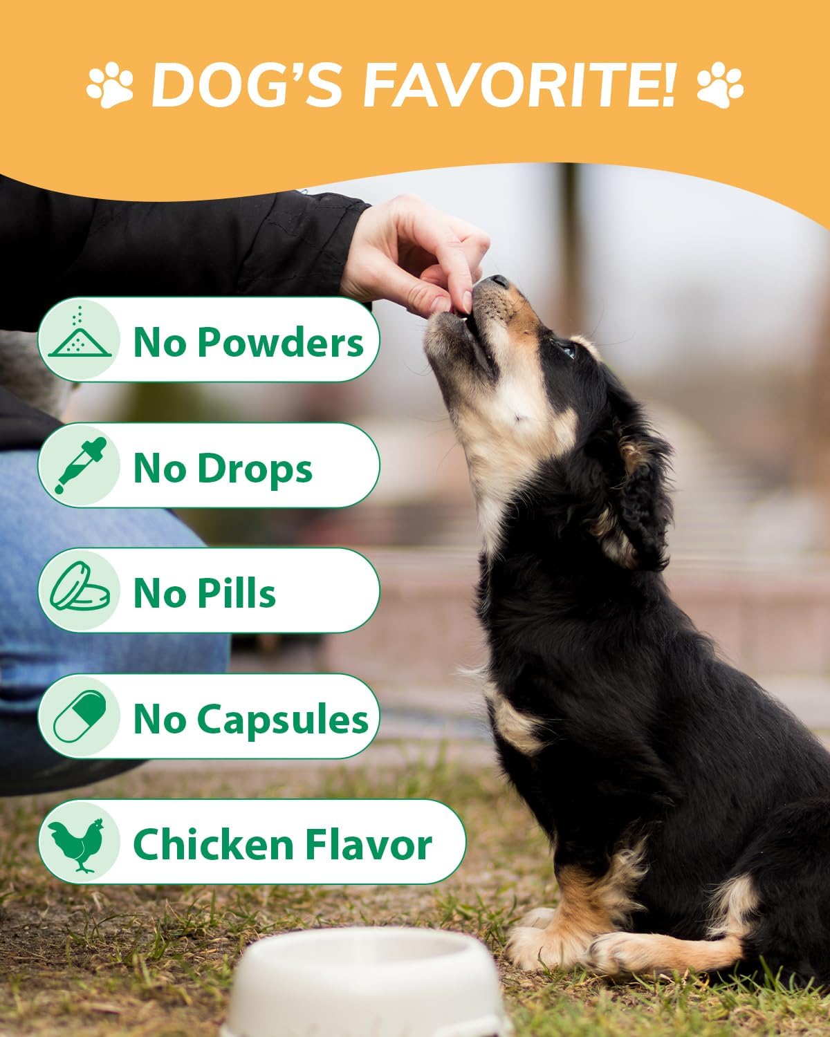 Chicken Flavor Probiotics Chews for Dogs with Prebiotic & Digestive Enzymes (120 Chews) N65556