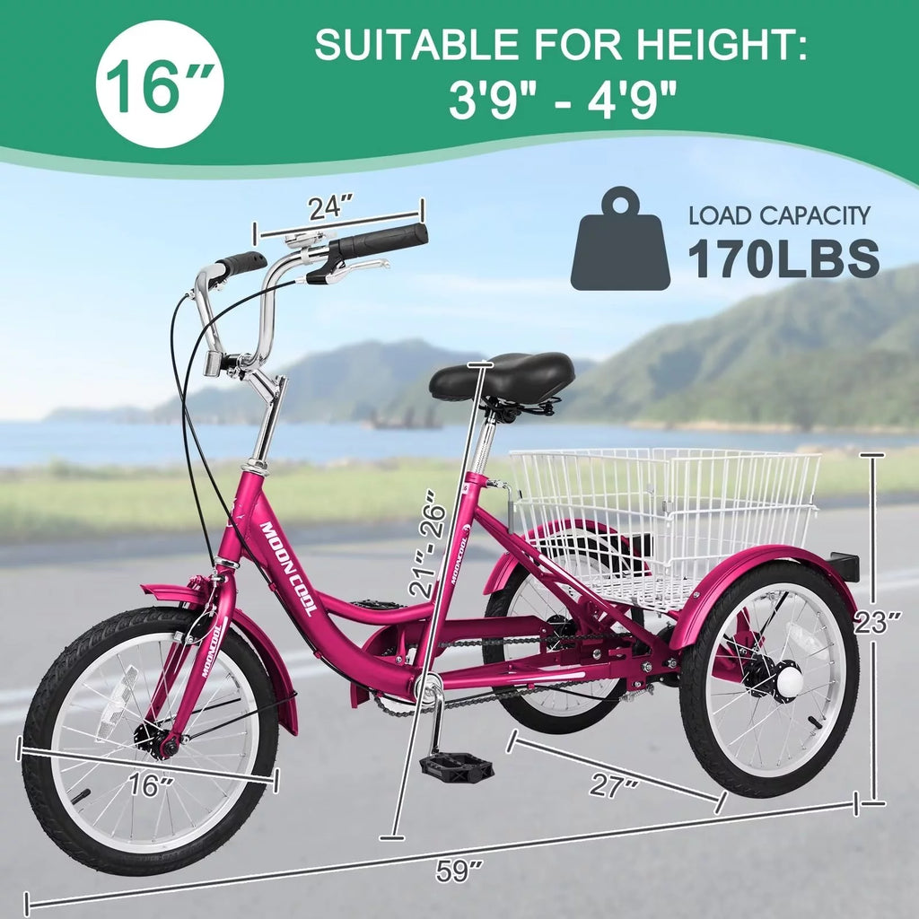7 Speed Three Wheel Bike Cruiser Trike with Low-Step Through Frame X213