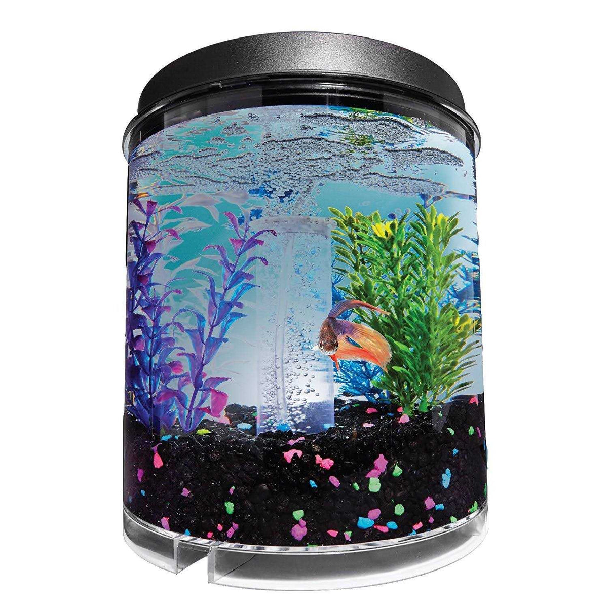 2 Gallon Tank A967
