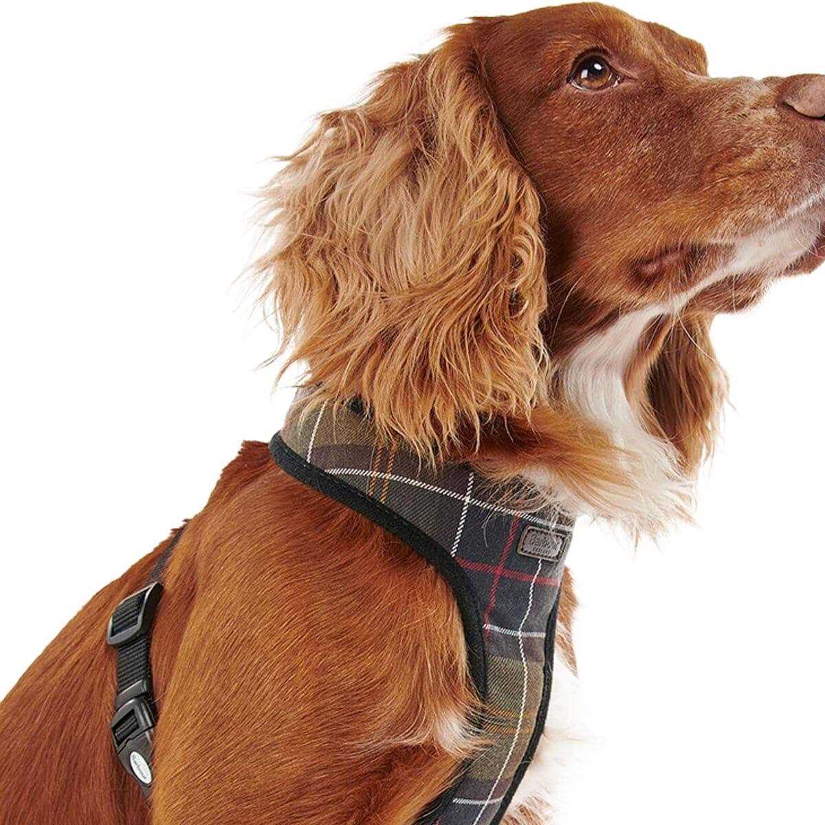 Tartan Dog Harness F708