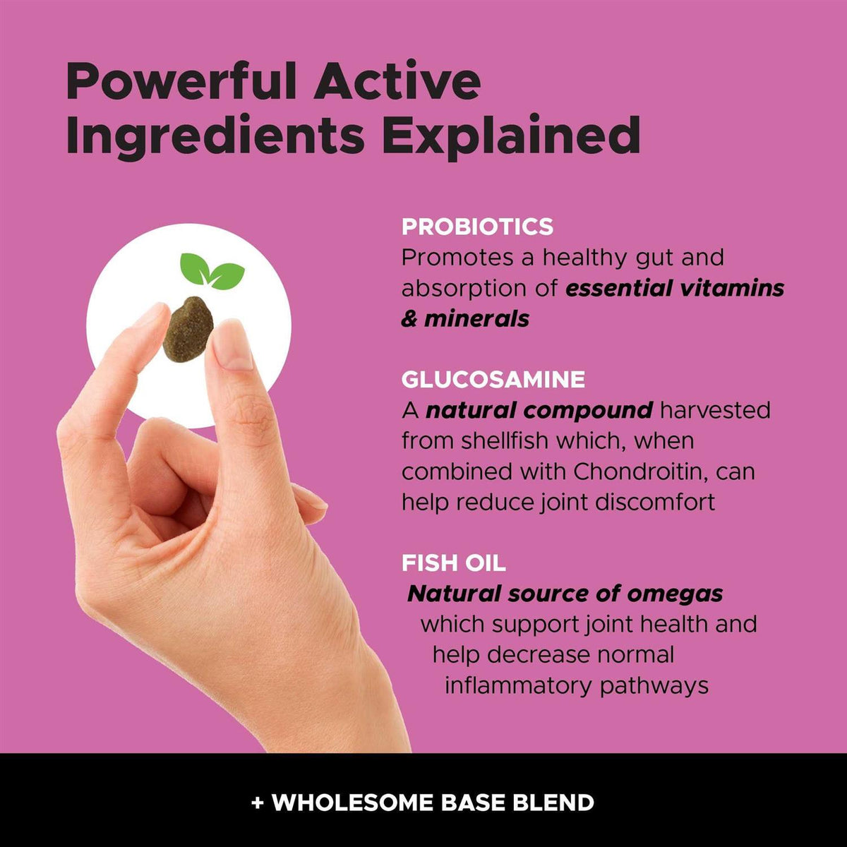 10 in 1 Multivitamin Glucosamine Soft Chews S218940