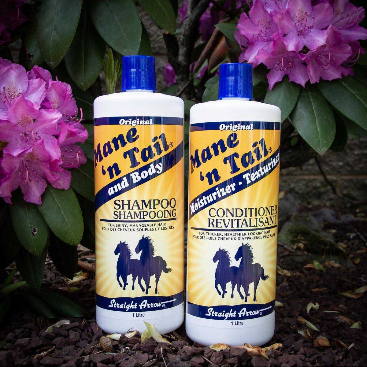 Original Shampoo R243638