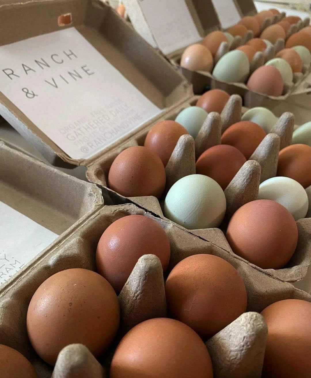Blank Egg Cartons 75-Pack 3x4 Holds 12 Large Eggs Recycled Cardboard P4315