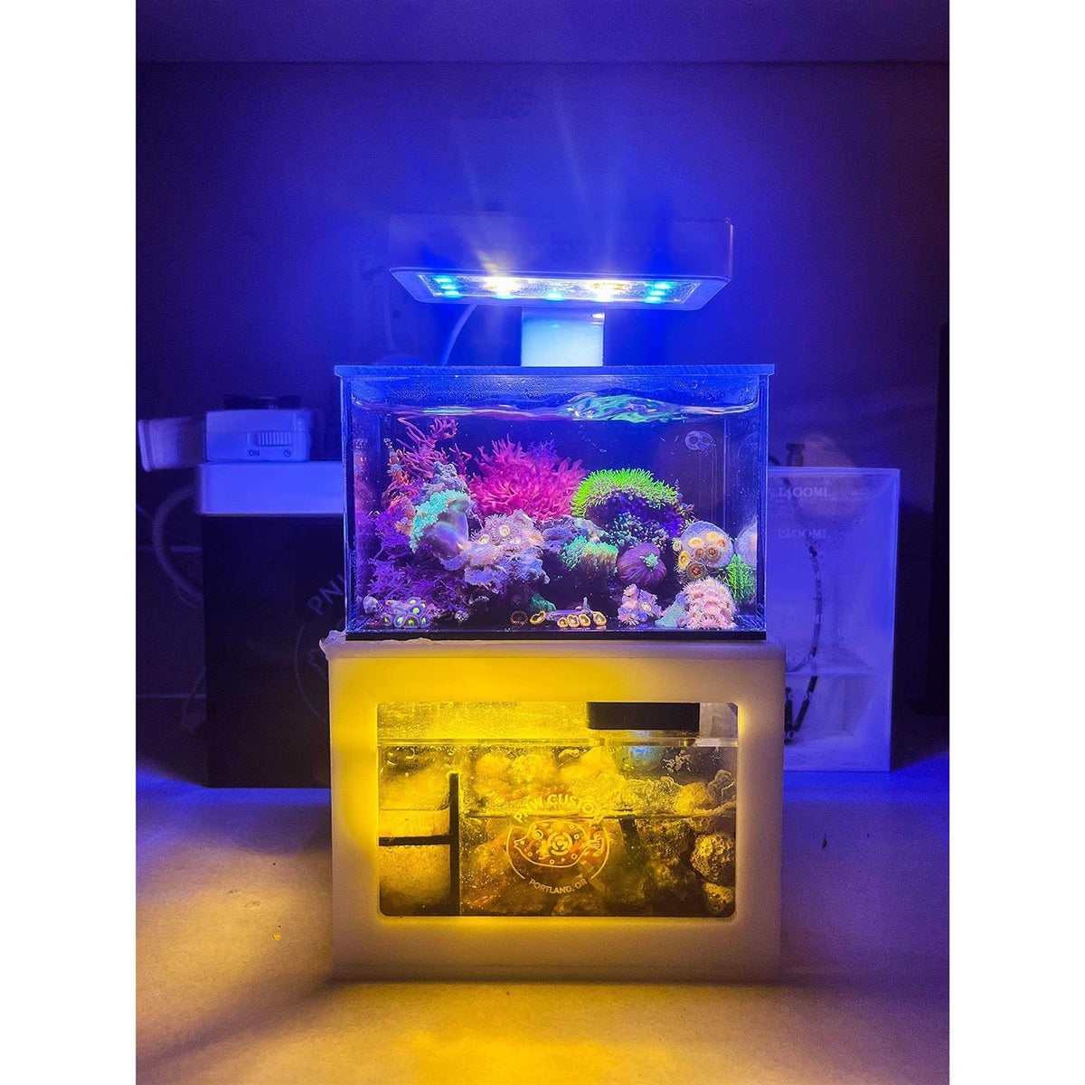 40oz Desktop Aquarium X57586
