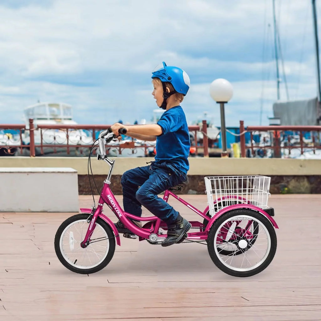 7 Speed Three Wheel Bike Cruiser Trike with Low-Step Through Frame X213
