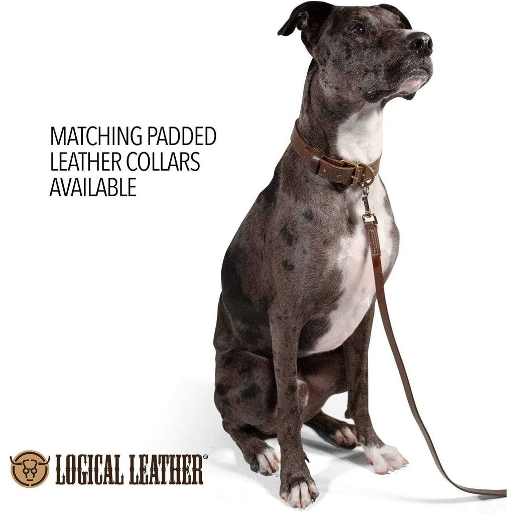 Leather Dog Leash N95797