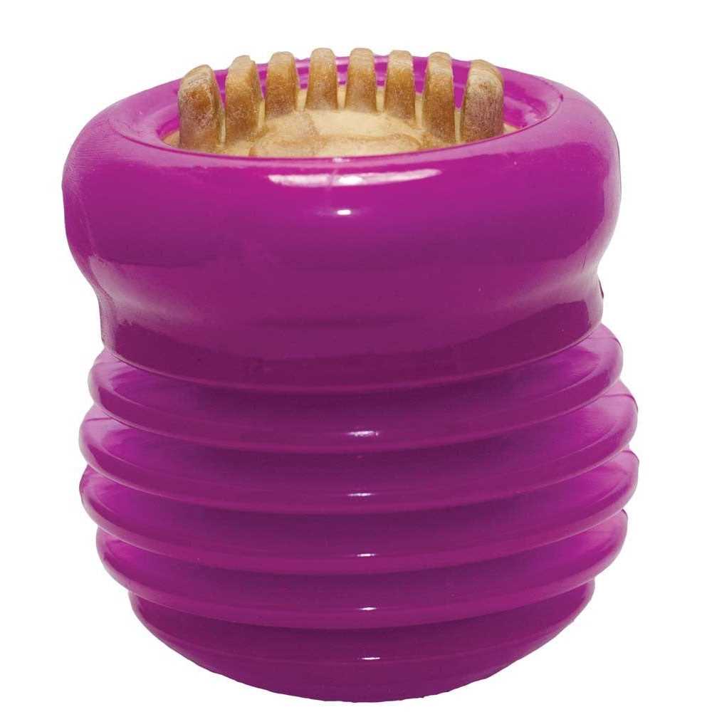 Treat Ball B100600