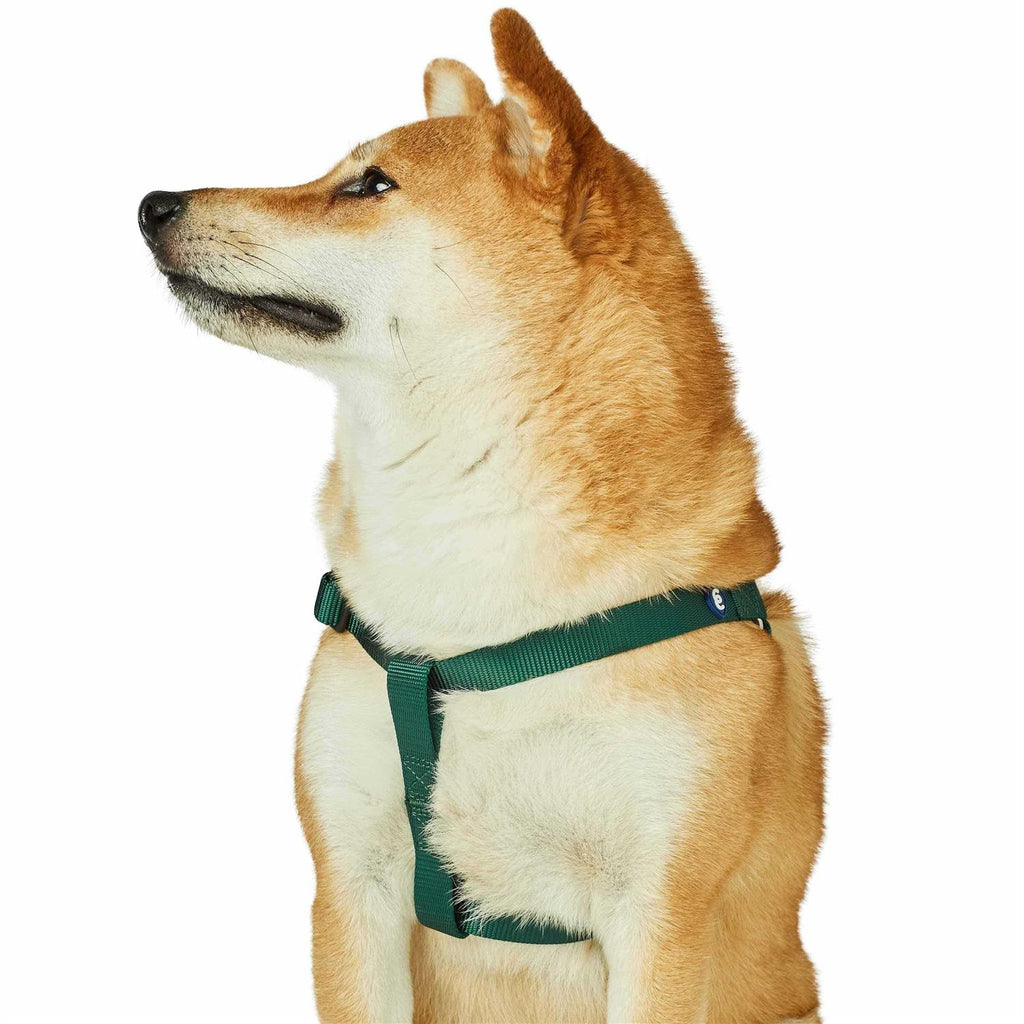 Solid Nylon Step-In Dog Harness E78092