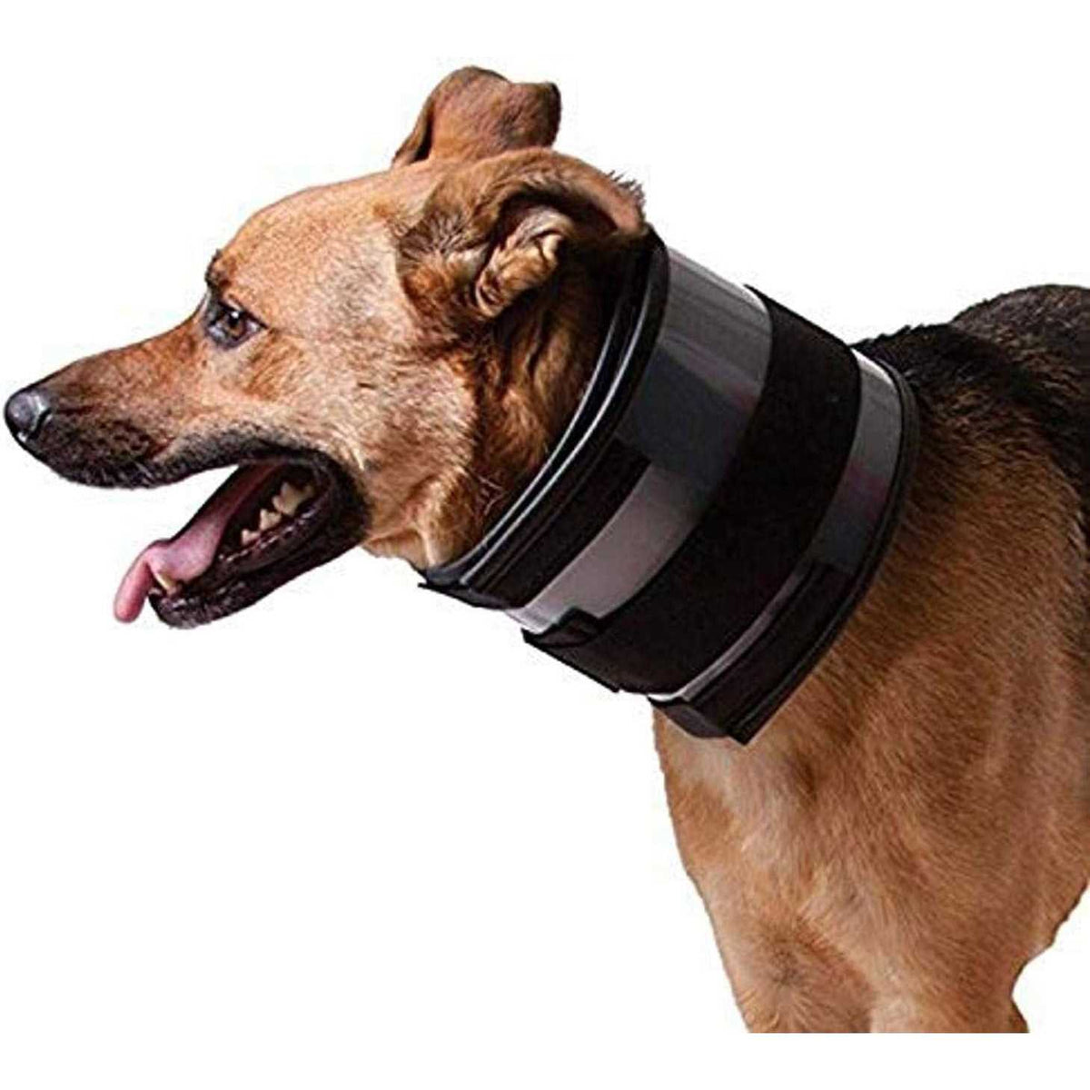 Cervical Collar D3672