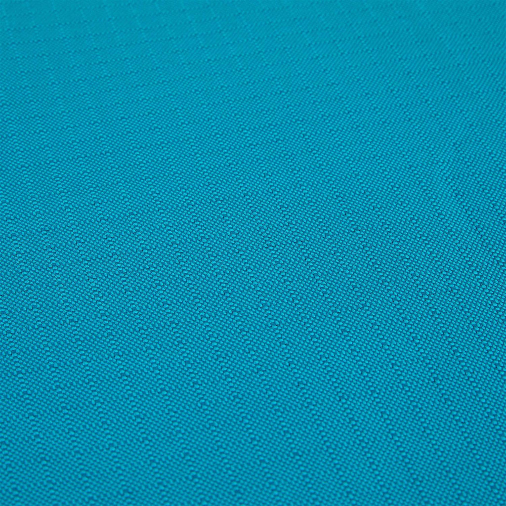 Teal Dog Mat M70823