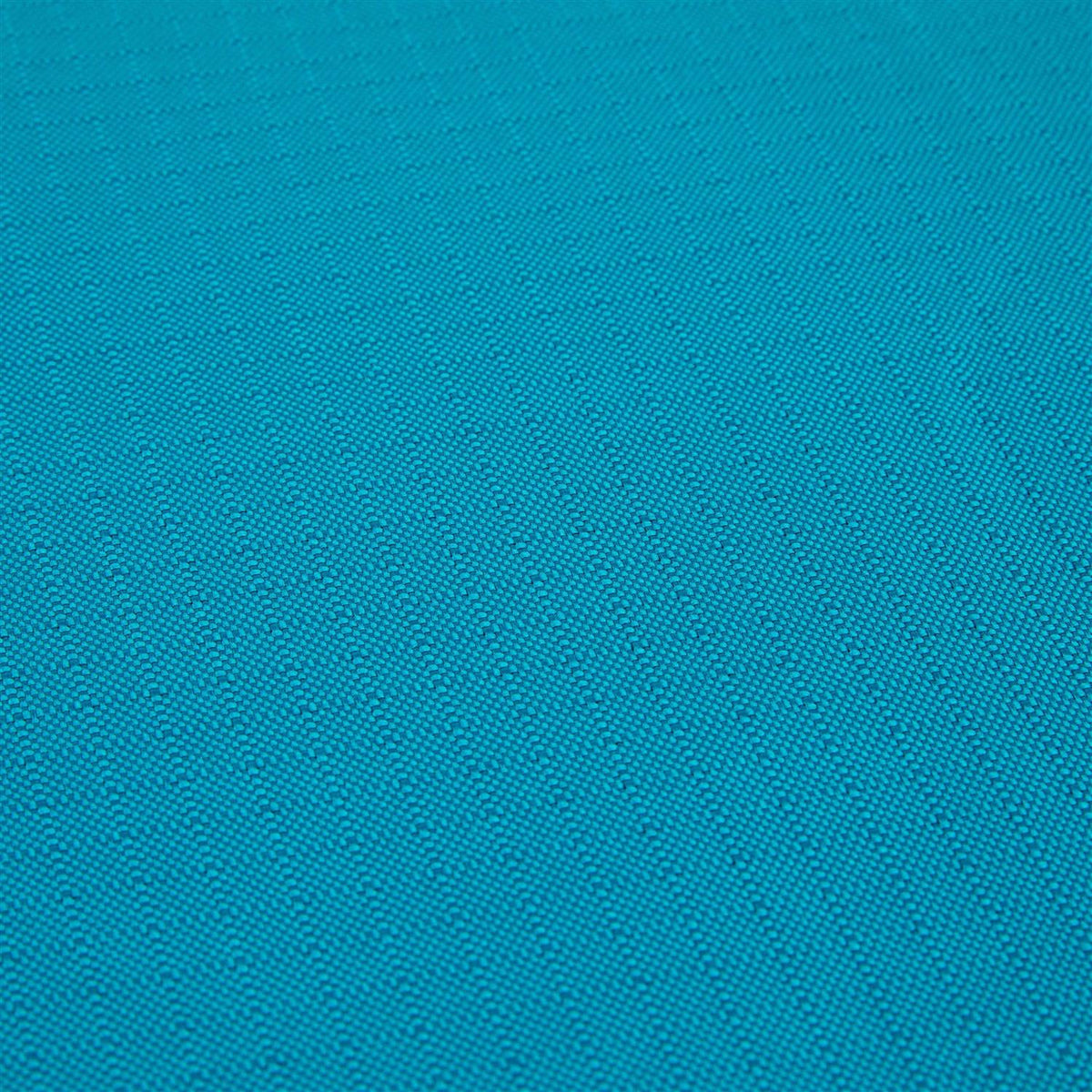 Teal Dog Mat M70823