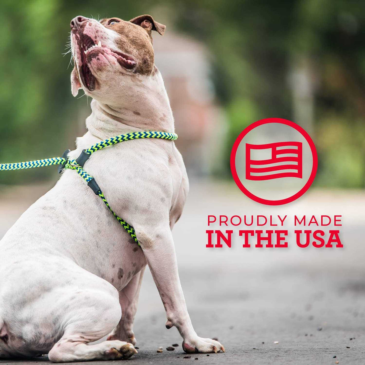 Dog Harness U33482