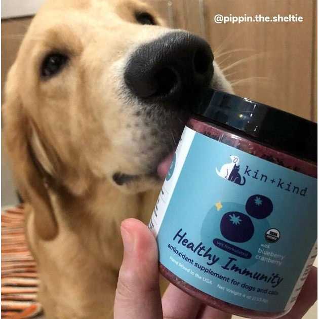 Healthy Immunity for Dogs and Cats G20213