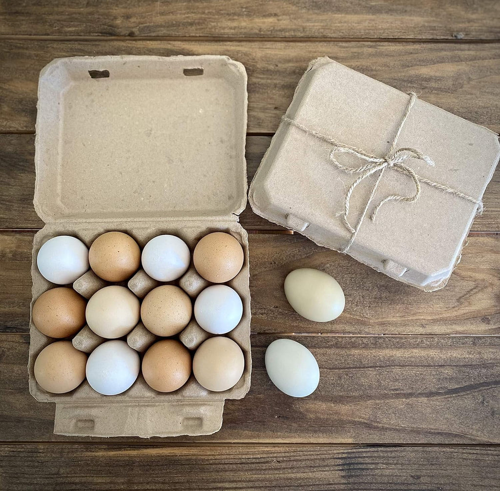 Blank Egg Cartons 75-Pack 3x4 Holds 12 Large Eggs Recycled Cardboard P4315