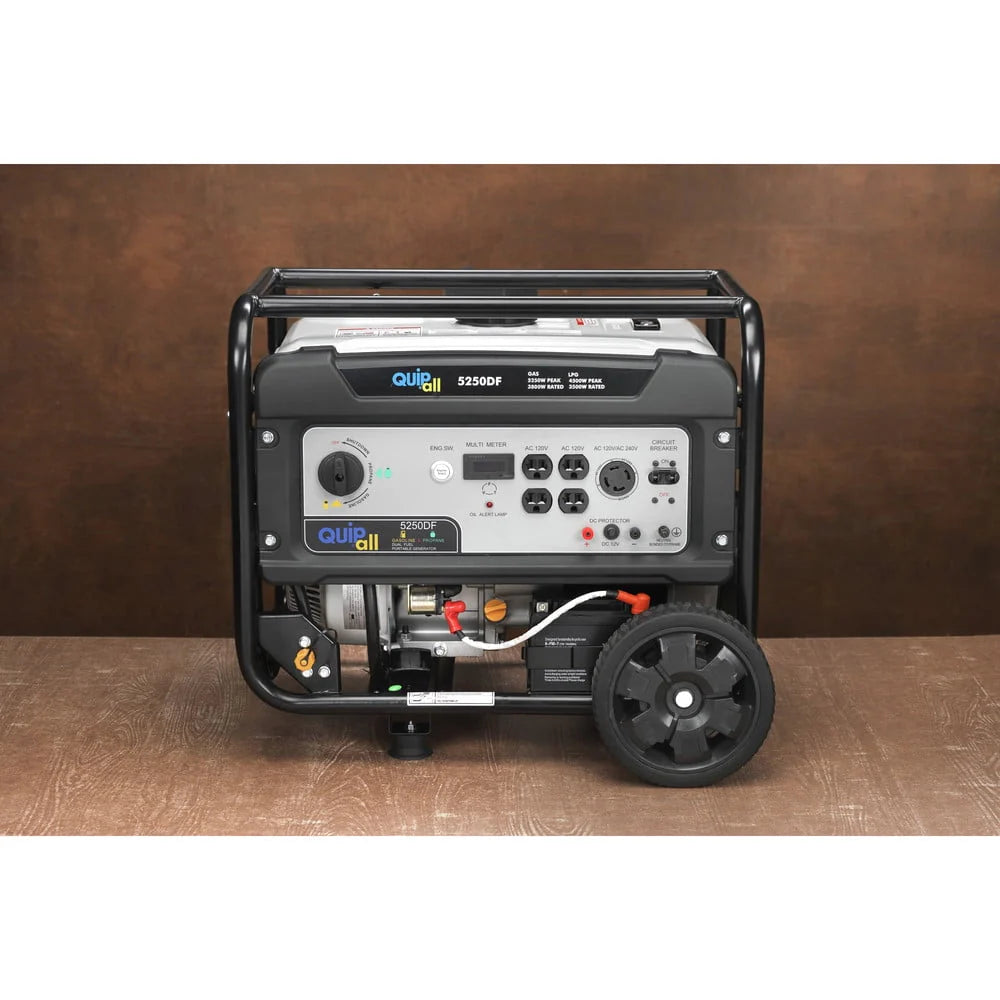 Portable Dual Fuel Gas Generator with Electric Start B385