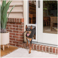 Sliding Glass Pet Door T9152