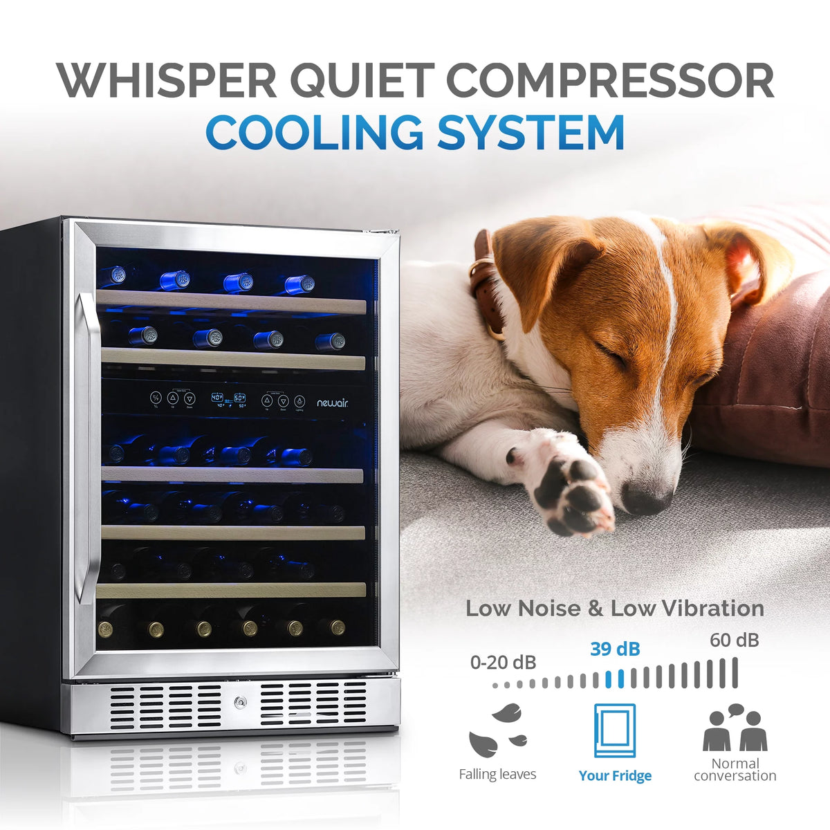 46-Bottle Dual-Zone Stainless Steel Wine Refrigerator U49766