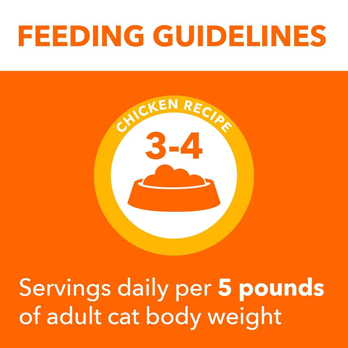 Cat Food Z475438