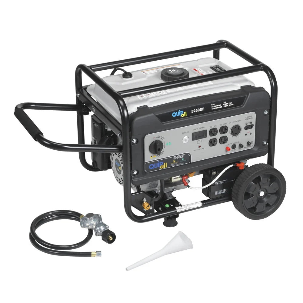Portable Dual Fuel Gas Generator with Electric Start B385
