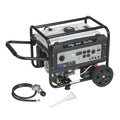 Portable Dual Fuel Gas Generator with Electric Start B385