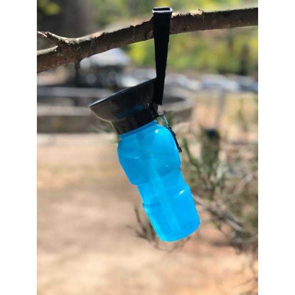 Blue Dog Bowl Water Bottle P132