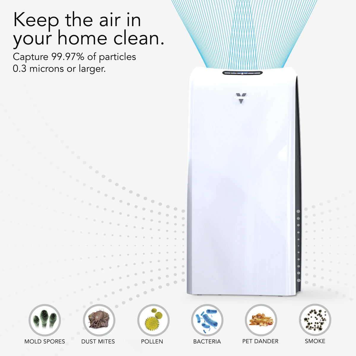 Whole Room True HEPA Air Purifier F960