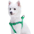 Solid Nylon Step-In Dog Harness E78092