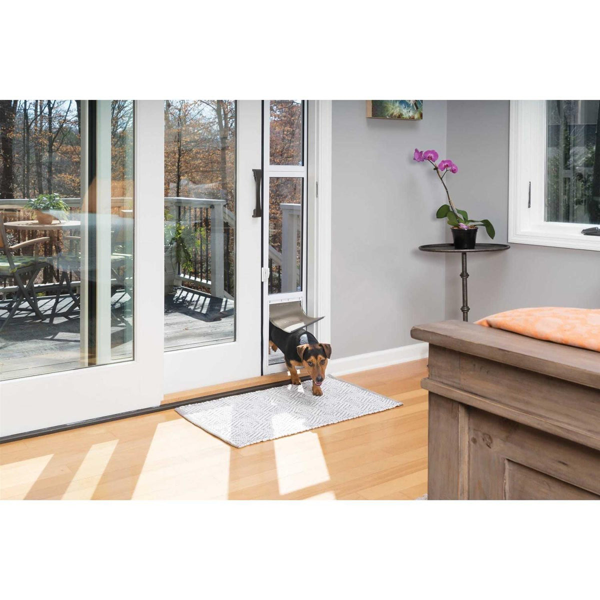 Sliding Glass Pet Door T9152