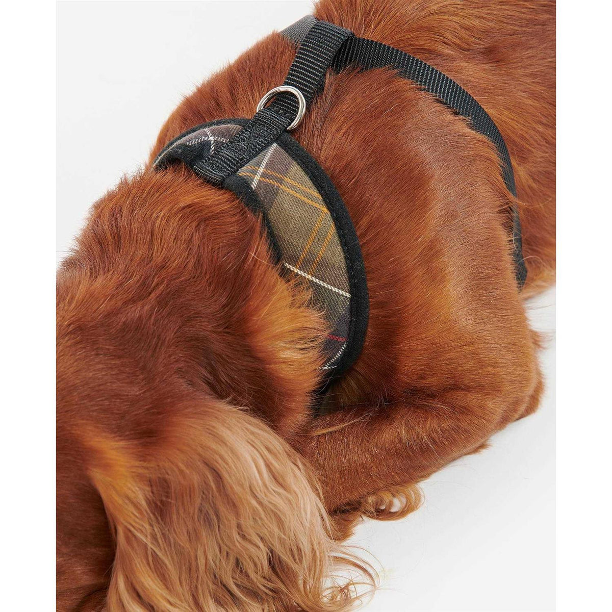Tartan Dog Harness F708