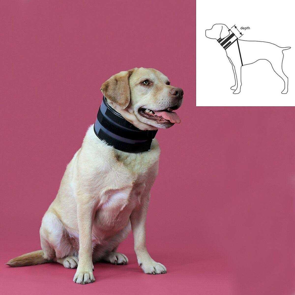Cervical Collar D3672